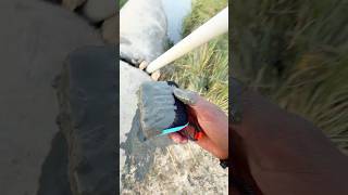 Jbl go4 throw mud test