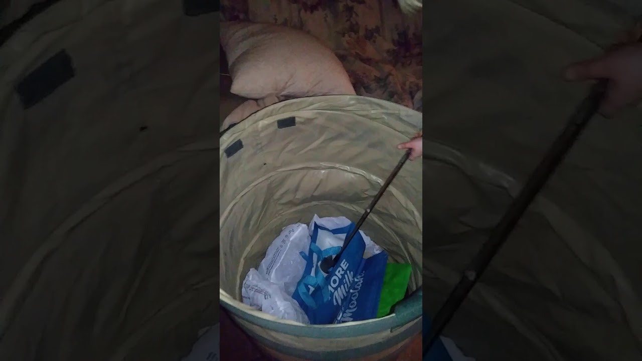 Fishing in the living room 