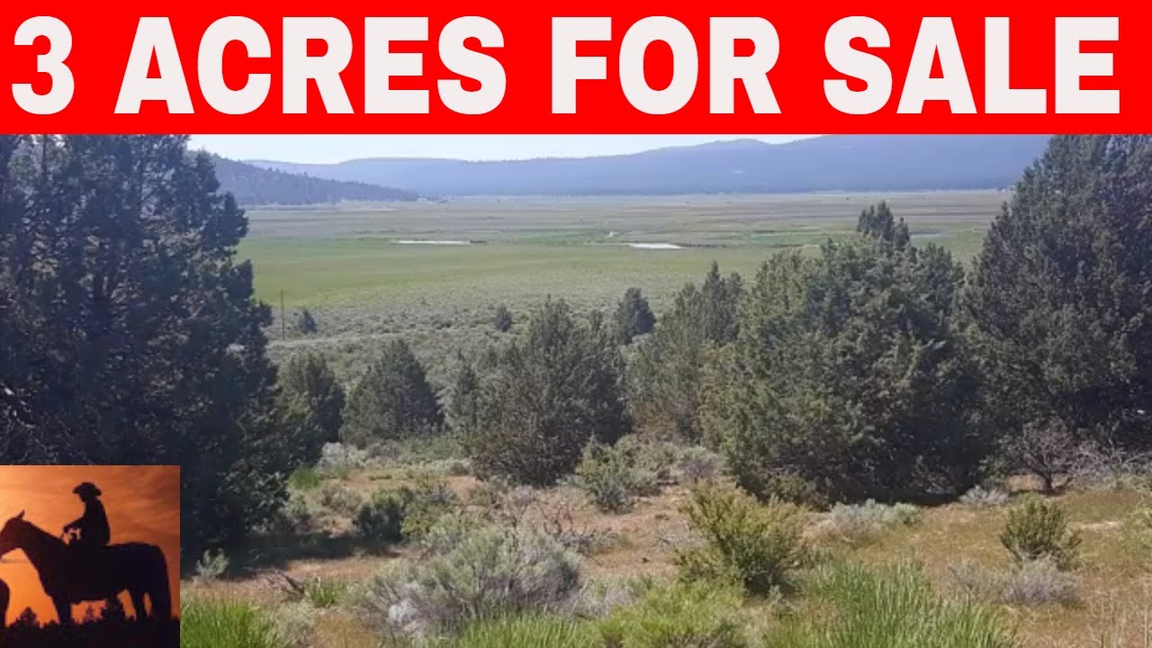 Oregon 3 Acres For Sale Owner Financing YouTube