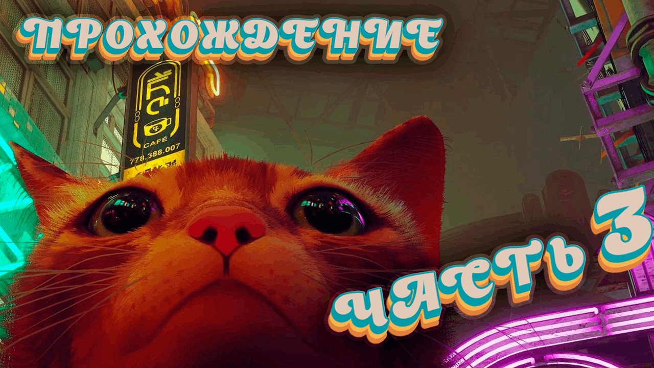 STRAY ☬ ЧАСТЬ №3 - ФИНАЛ ПЕЧАЛИ ☬ Прохождение