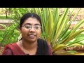 Vel Tech High Tech Dr.Rangarajan Dr.Sakunthala Engineering College Others(1) Vel Tech High Tech Dr.Rangarajan Dr.Sakunthala Engineering College Others(1)