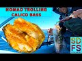 Solo Skiff Fishing La Jolla Calico Bass | Nomad DTX Minnow 140 Troll | California Bay Side Fish Fry