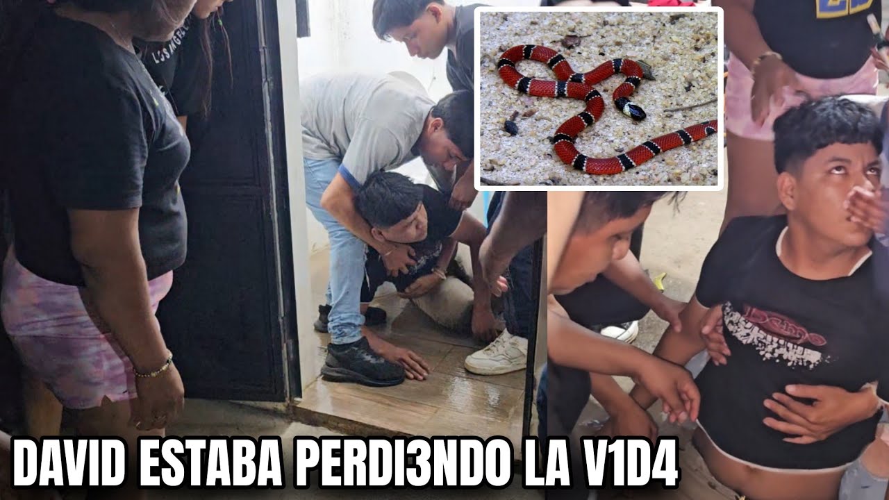 Heydi No Podía Creer Como Encontró A David😭 Esto Esta Pasando En La Familia