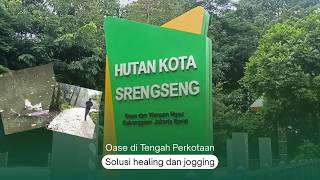 Hutan Kota Srengseng  | Tempat Healing dan Jogging Favorit