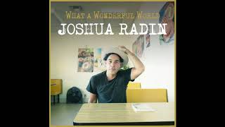 Joshua Radin-Wonderful World chords