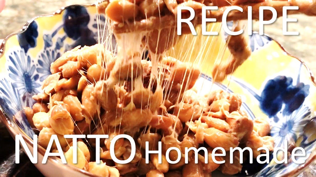 Homemade Natto Recipe with Yogurt Maker YouTube