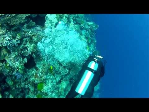 Scuba Diving at Grand Central Station, Namena, Fiji