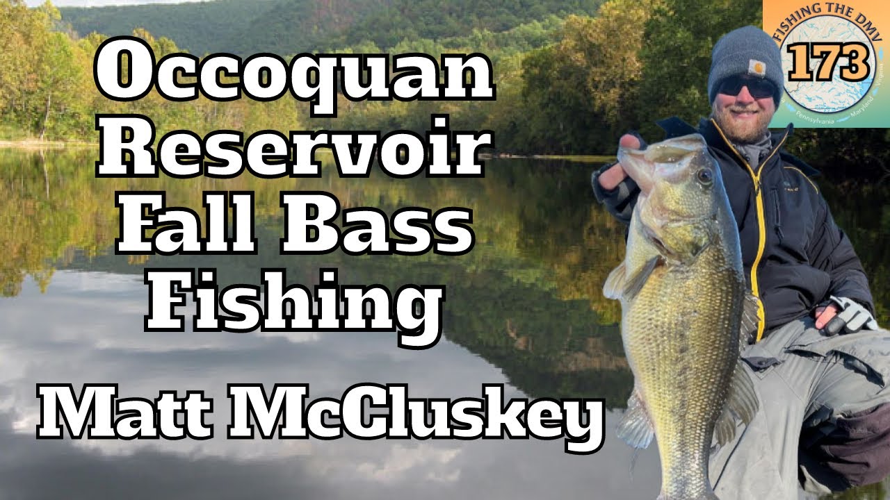 Occoquan Reservoir Fall Bass Fishing Report with Matt McCluskey YouTube