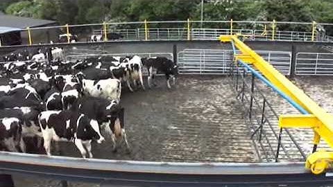 Milk Assist Backing Gate