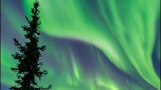 My solo trip to Alaska in the winter! (Fairbanks, Anchorage, and Kenai)