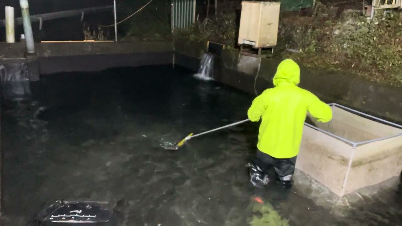 20251225飼育管理_後半