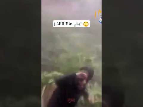 شاهد أقوي عاصفة تضرب أمريكا لقطات مرعبة