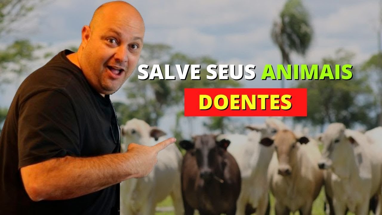 A PRINCIPAL ESTRATÉGIA PARA SALVAR ANIMAIS DOENTES | PROF. MARCELO COSTA