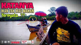 Download Lagu Spot Janda Kembali Menggoda | Mancing Lais MP3