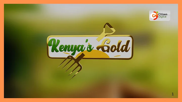 Kenya's Gold feature | Coffee farming in Kenya |
