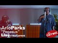 Arlo Parks – Pegasus (live for The Current)