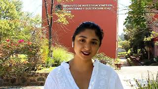 AEM 2022   Ingeniería de Minas y Metalurgia