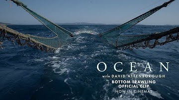 OCEAN with David Attenborough | 