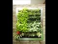 Como hacer un jardín vertical DECORAMBIENTES DEL VALLE