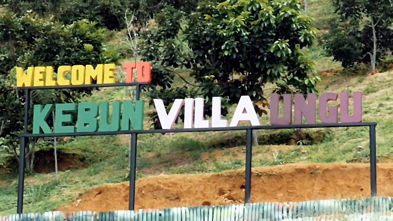 Kebun Villa Ungu Objek Wisata Yang Sedang Viral Di Kutacane Aceh Tenggara Youtube