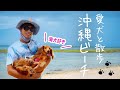 愛犬と一緒にお散歩に行きました。【沖縄ビーチ】