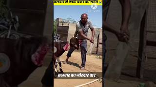 तलवर स कट बकर क गल