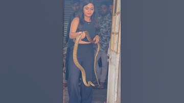 Snake rescue done safely❤️