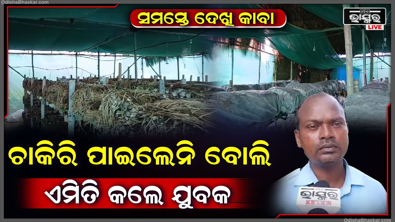 ଚାକିରି ପାଇଲେନି, ଘରକୁ ଫେରି ଆସି ଏମିତି କଲେ ଯେ ସମସ୍ତେ ଦେଖି ହୋଇଗଲେ କାବା