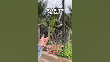 Nền đất đẹp, đường ôtô 7c. Gần quảng trường Mỹ Tho. 4*35 có 80m2 thổ giá 850tr. #shorts