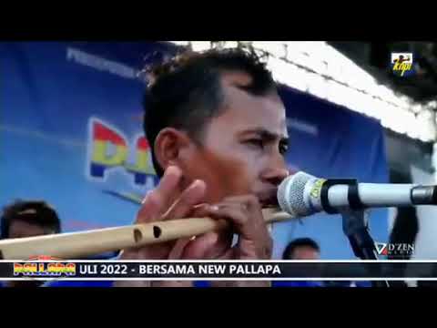 Brodien - Buta New Pallapa Live Kendal 30 Juli 2022