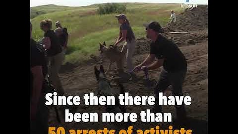 Activists Fight Dakota Pipeline