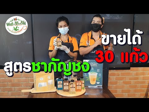 สูตรชากัญชง ทำทีเดียว ได้ถึง 30 แก้ว