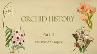 Orchid History // Part II  - The Roman Empire screenshot 5