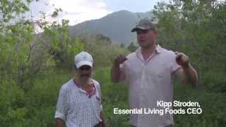 Organic Superfoods Camu Camu From Peru Essential Living Foods Source Verified