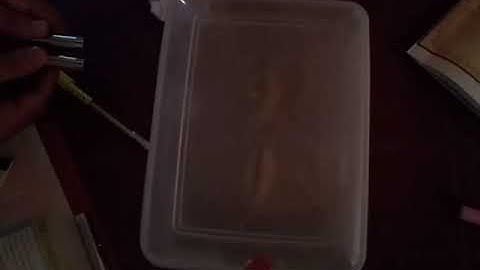 Divergence and convergence of light with concave and convex lenses respectively