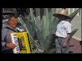 CIELITO LINDO--VALSE MEXICAINE--jean claude898