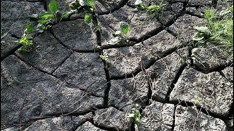 AWC Droughts in Alberta