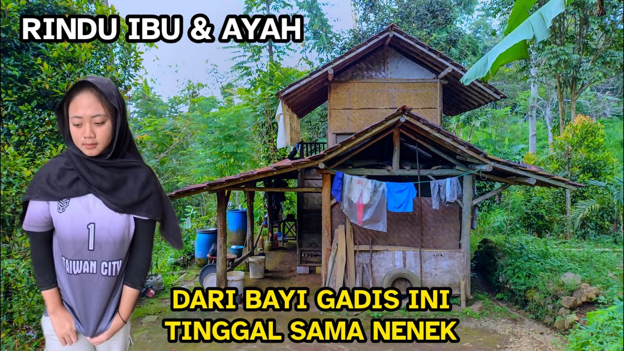 DITINGGAL KEDUA ORANG TUA NYA GADIS INI HIDUP BERDUA BERSAMA NENEK NYA PINGGIR HUTAN