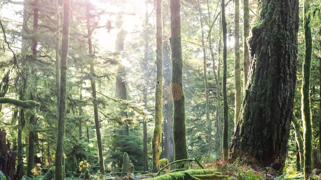 How to Erase Free Space in Disk Utility for Osx El Capitan