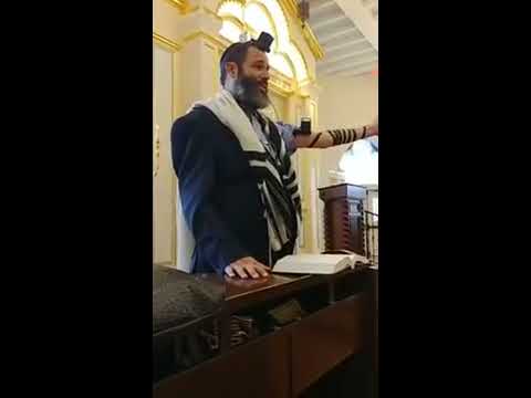 How to stop Antisemitism?