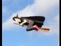 Rc broom flyer witch for halloween by otto dieffenbach