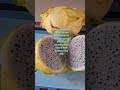 Buah Naga Putih Kulit Kunin #viral #buahnagakuning #buah #buahnaga #fyp