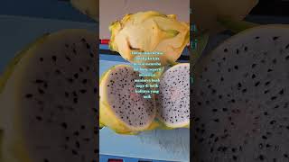 Buah Naga Putih Kulit Kunin #viral #buahnagakuning #buah #buahnaga #fyp