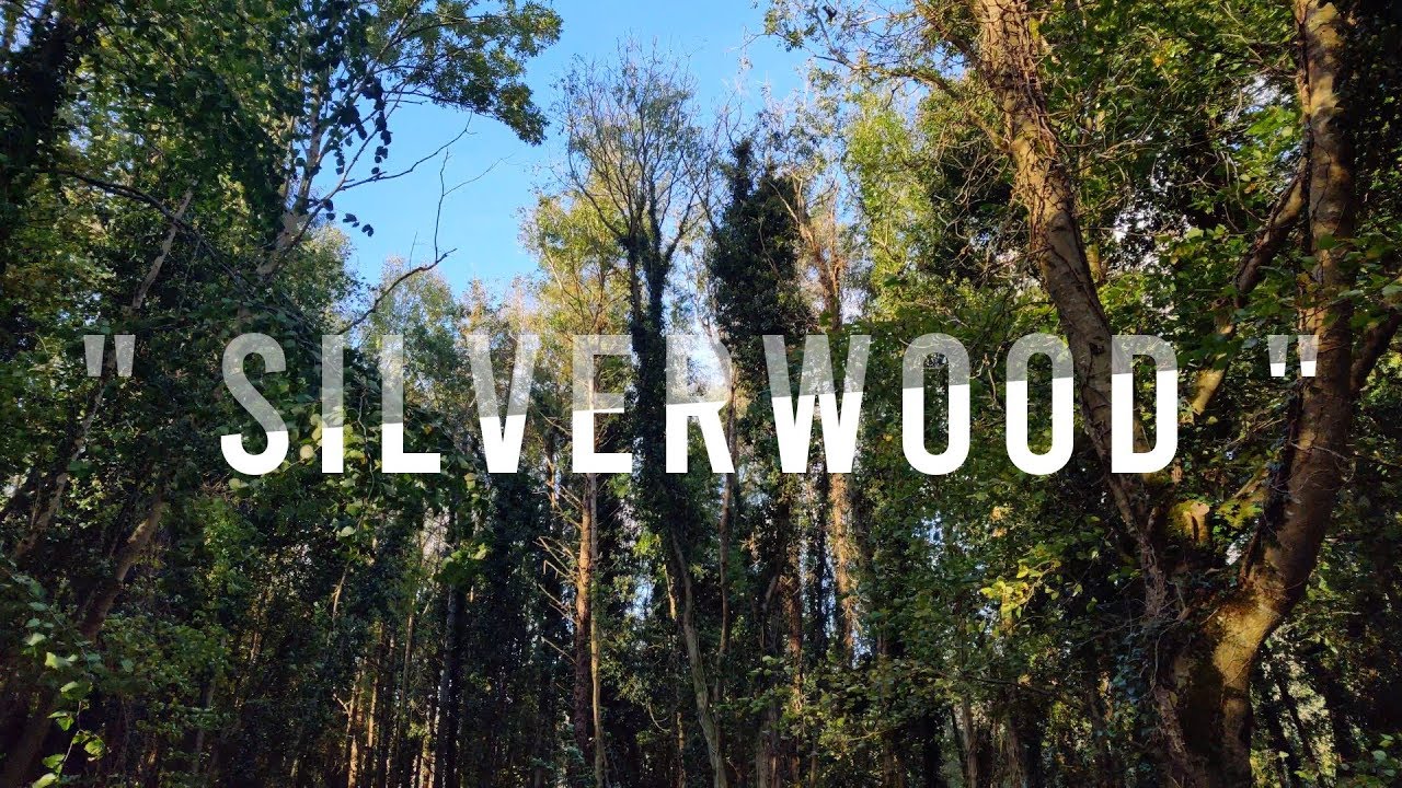 " SILVERWOOD "