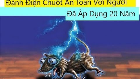 DIỆT SẠCH CHUỘT CHỈ 1 ĐÊM BẰNG ĐIỆN AN TOÀN( Test trực tiếp trên người )