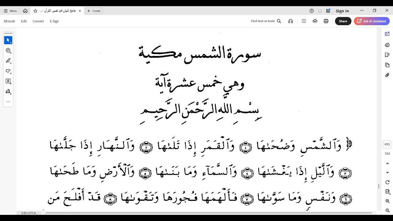 409 تفسير الإيجي | سورتا الشمس والليل | محمد مصطفى عبد المجيد