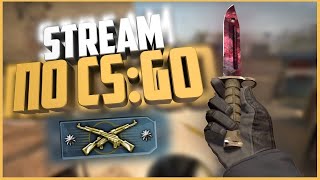 СТРИМ по CS GO | ВЕЧЕРНИЙ ПУШ ГЛОБАЛААААА 🎉 КОНКУРСЫ/РОЗЫГРЫШИ СКИНОВ