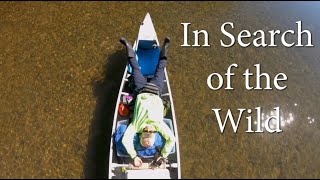 54 miles/3 days canoeing Meramec River, Missouri