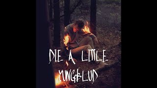 Die A Little | YUNGBLUD [ vietsub \& lyrics ]