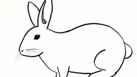 How to draw a rabbit or bunny- in easy steps advanced tutorial